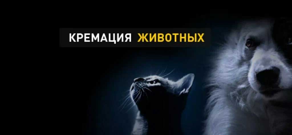Крематорий для животных (собак, кошек, кроликов, птиц) в г. Павловский Посад Московской области
