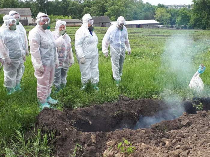 Вывести труп собаки, кошки в г. Павловский Посад Московской области
