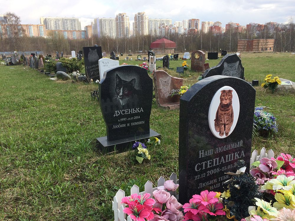 Похоронить животное на официальном кладбище домашних животных в г. Павловский Посад Московской области