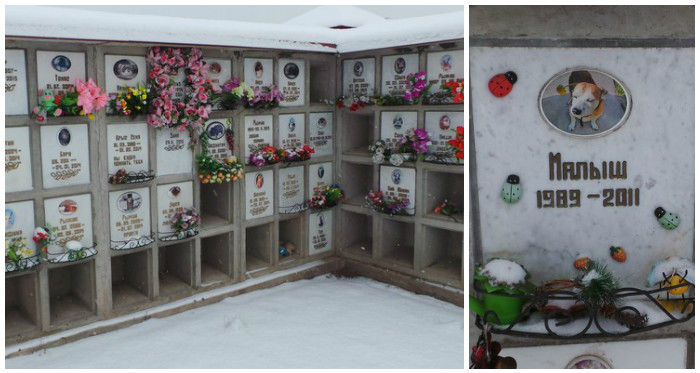 Индивидуальная (частная, персональная) кремация животного (собаки, кошки) городе Павловский Посад Московской области