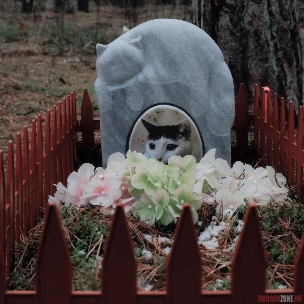 Изготовление памятников для животных в г. Павловский Посад Московской области