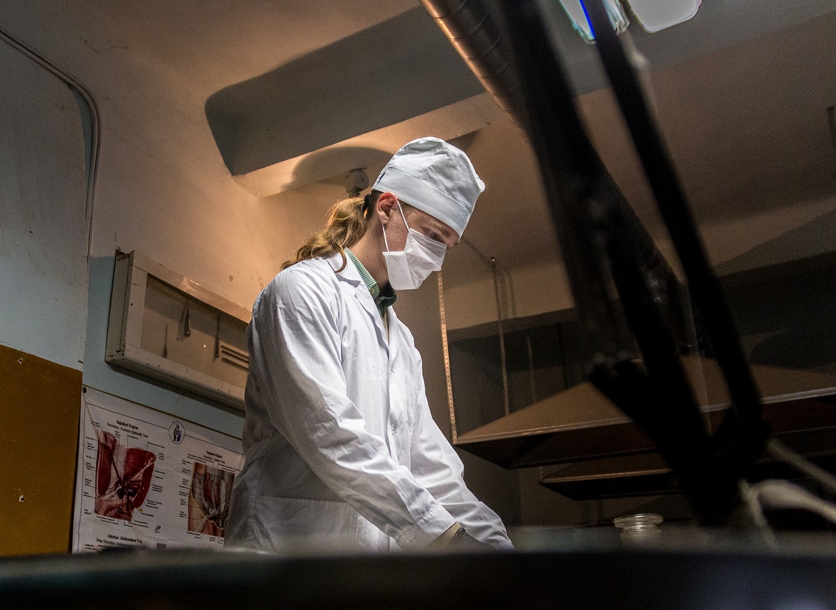 Патологоанатомическое вскрытие животного (собаки, кошки, кролика) в г. Павловский Посад Московской области