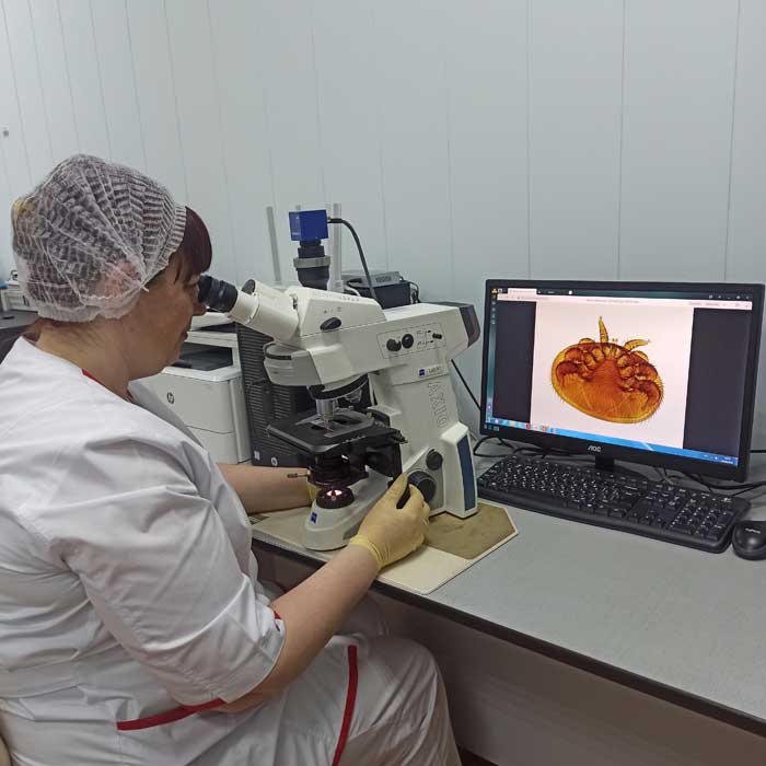 Умерло животное установить причину смерти для суда в г. Павловский Посад Московской области